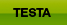 testa